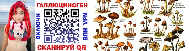 Купить где Окуловка Псилоцибиновые грибы MAGIC MUSHROOMS